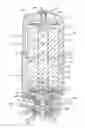 Fig. 01 - Apparatus for filtering and/or conditioning and/or purifying a fluid such as water