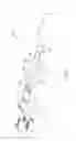 Fig. 07 - BELT WELDING APPARATUS AND METHOD