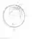 Fig. 05 - Leak proof container