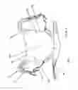Fig. 04 - Dual function protective baby carrier