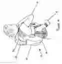 Fig. 12 - Dual function protective baby carrier