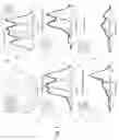 Fig. 06 - Orthogonal charge-based spectral coding with quantum dot conjugates