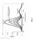 Fig. 09 - Orthogonal charge-based spectral coding with quantum dot conjugates
