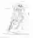 Fig. 07 - Power assisted toy flying device