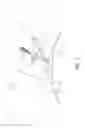 Fig. 08 - Power assisted toy flying device