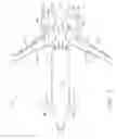 Fig. 06 - Airplane configuration