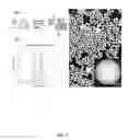 Fig. 04 - Microspheres including nanoparticles
