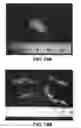 Fig. 20 - Method of making porous self-cohered web materials