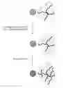 Fig. 01 - Composite material