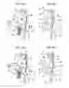 Fig. 07 - Sheet detecting device and image forming apparatus