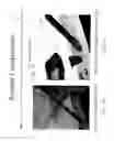 Fig. 02 - Tailgate damping/detent system