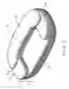 Fig. 03 - Self inflating bellows chair