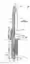 Fig. 01 - Spark plug having a center electrode and a ground electrode provided with no noble metal member