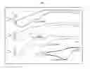 Fig. 09 - Emissive metal complexes