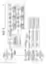 Fig. 07 - DISPLAY-USE LIGHTING DEVICE AND DISPLAY APPARATUS