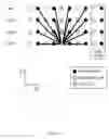 Fig. 03 - Through-time non-cartesian grappa calibration