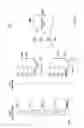 Fig. 06 - Systems for accurate multiplexing