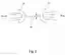 Fig. 03 - Optical sensor unit for evanescence wave spectroscopy