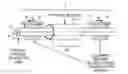 Fig. 01 - Fiber shape sensing systems and methods