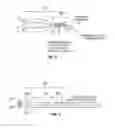 Fig. 03 - Fiber shape sensing systems and methods