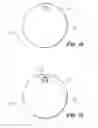 Fig. 17 - Fiber shape sensing systems and methods
