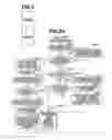 Fig. 06 - Image processing apparatus, control method therefor, and program