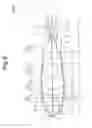 Fig. 06 - Objective lens