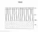 Fig. 07 - Thermal conductive member, manufacturing method of the thermal conductive member, heat radiating component, and semiconductor package
