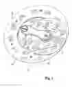 Fig. 02 - Watch