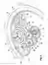 Fig. 07 - Watch