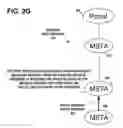 Fig. 09 - GROUP ADDRESSED FRAME DELIVERY IN WIRELESS NETWORKS