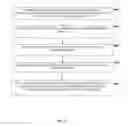 Fig. 07 - Image alignment using translation invariant feature matching