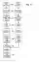 Fig. 11 - Authentication of physical and electronic media objects using digital watermarks