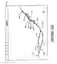 Fig. 07 - Method and apparatus for capturing, geolocating and measuring oblique images