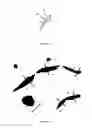 Fig. 05 - IDENTIFYING GEOLOGICAL FEATURES IN AN IMAGE OF AN UNDERGROUND FORMATION SURROUNDING A BOREHOLE