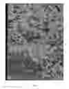 Fig. 06 - METHOD AND SYSTEM FOR ANALYZING THE EXPRESSION OF BIOMARKERS IN CELLS IN SITU IN THEIR TISSUE OF ORIGIN