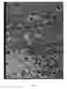 Fig. 08 - METHOD AND SYSTEM FOR ANALYZING THE EXPRESSION OF BIOMARKERS IN CELLS IN SITU IN THEIR TISSUE OF ORIGIN