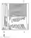 Fig. 19 - MEDICAL IMAGE HANDLING SYSTEM AND METHOD