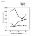 Fig. 35 - X-ray image processing method and X-ray image processing system using open curve fourier descriptors