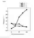 Fig. 36 - X-ray image processing method and X-ray image processing system using open curve fourier descriptors