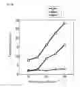 Fig. 37 - X-ray image processing method and X-ray image processing system using open curve fourier descriptors