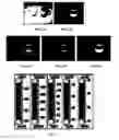 Fig. 03 - Method for improving visualization of infrared images
