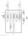 Fig. 06 - Combining seam carving an image resizing