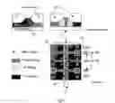 Fig. 07 - Circuit architecture for electro-optic modulation based on free carrier dispersion effect and the waveguide capacitor structures for such modulator circuitry using CMOS or Bi-CMOS process