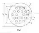Fig. 02 - HOLEY FIBERS