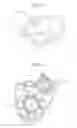 Fig. 04 - ELECTROPHOTOGRAPHIC IMAGE FORMING METHOD AND APPARATUS