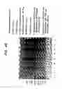 Fig. 22 - Methods for Sterilizing Tissue