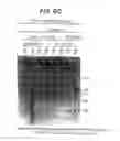 Fig. 31 - Methods for Sterilizing Tissue