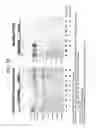 Fig. 35 - Methods for Sterilizing Tissue