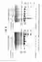 Fig. 38 - Methods for Sterilizing Tissue